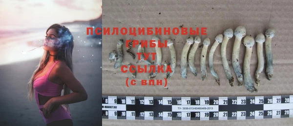 МДМА Ладушкин