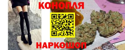 шишки Гусев