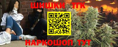 СК Гусь-Хрустальный