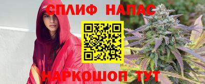 СК Гусь-Хрустальный