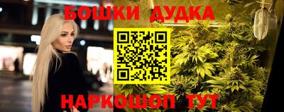 гидропоника Гусиноозёрск