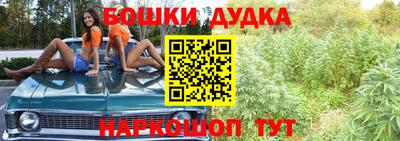 шишки Гусев